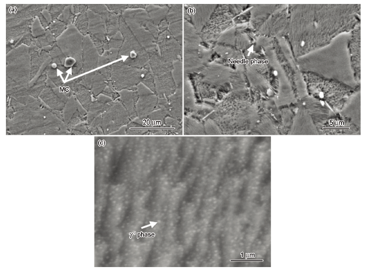 900℃固溶處理后合金的顯微組織