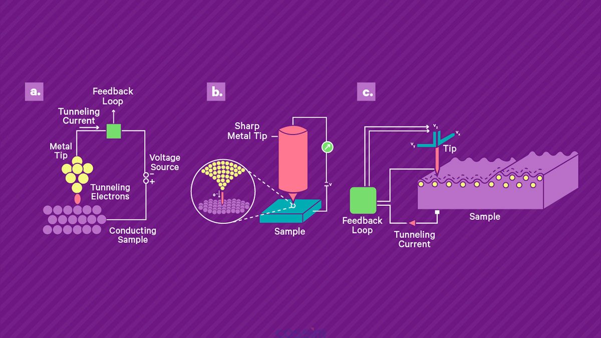 掃描隧道顯微鏡的工作原理。 a) 將鋒利的導(dǎo)電尖端靠近導(dǎo)電樣品表面并施加偏置電壓，從而產(chǎn)生穿過間隙的小隧道電流。 該電流由高增益放大器讀出。 b) 壓電掃描系統(tǒng)用于控制尖端與表面的分離并在表面上掃描尖端。 當(dāng)尖端保持在恒定高度時(shí)，電流幅度可用作尖端表面分離的直接測量，從而實(shí)現(xiàn)地形成像。 或者，可以使用反饋回路通過改變定位系統(tǒng)的控制電壓來保持恒定電流，該控制電壓被記錄下來并產(chǎn)生樣品上的形貌和電子密度的測量值。