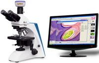 BK系列臨床、實驗室生物顯微鏡
