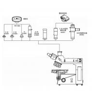 顯微成像系統(tǒng)連接示意圖片